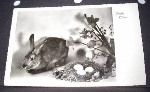 Photo Greeting Card Easter Bunny, Easter basket, flowers, ca.1950