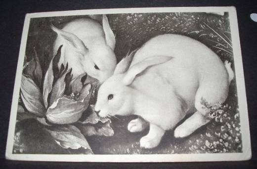 Grußkarte Ostern, weiße Hasen und Kohl, ca.1950