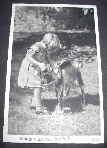 Photo Card, Girl feeding goat, ca.1940