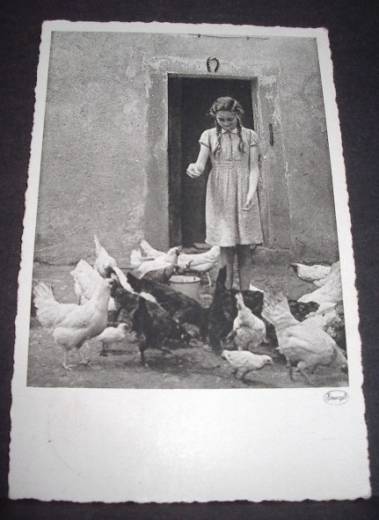 Photo Card, Girl feeding chickens, ca.1940