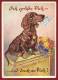 Greeting card extendable, dachshund, Mailbox, Flower, ca.1950