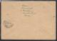 Frühverwendung Nr. 916 + 928 auf Einschreibe-Fernbrief Gadebusch - Süderlügum 18.02.46